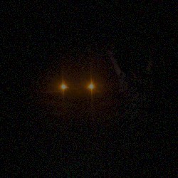 Judith Slaying Holofernes