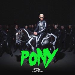 Pony