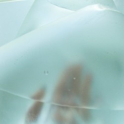 ZUCCHINI DREAMS (AUBERGINE MEMORIES)