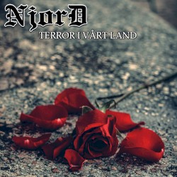 Terror i vårt land
