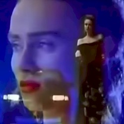 3ļ½ļ½ļ½ļ½ļ½