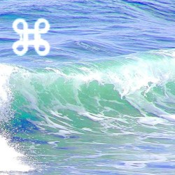 Eden 5 - The Nautilus Experience