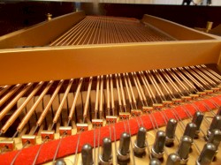 My Other Car is a Steinway