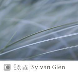 Sylvan Glen