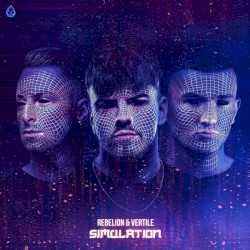 Simulation