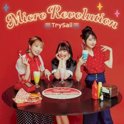 マイクロレボリューション