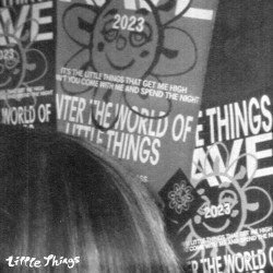 Little Things