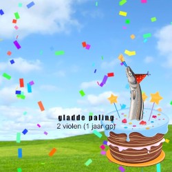 2 violen (1 jaar gp)