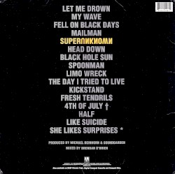 Superunknown