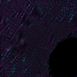 128: The Livelihoods of Farming Communities III