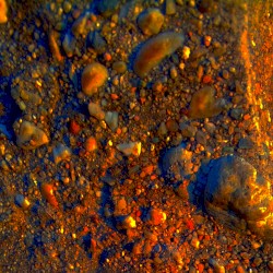 Golden Masquerade of the Trivial Crust