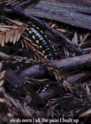 All The Pain I Built Up