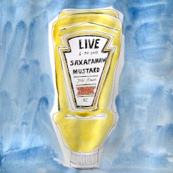 Saxapahaw Mustard: Josh Rouse Live at Haw River Ballroom