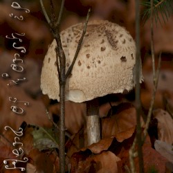 XLVII. That Moment Will Spread Beyond All Boundaries