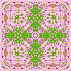 To Fill Every Lotus of the Universe With Their Buddhas