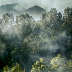 From the Mountain (live)