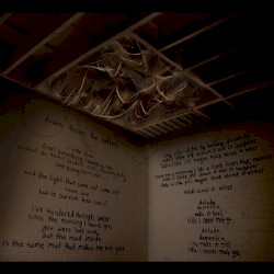 Down From the Rafters Remixes