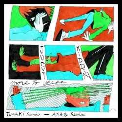 More to Life (The Remixes)