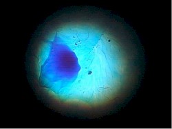 From Tomorrow (Blue Sun Ambient mix)