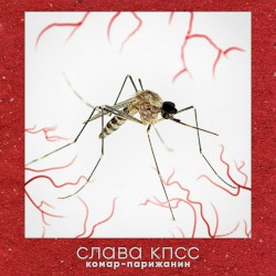 Комар-парижанин