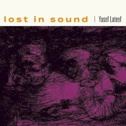 Lost in Sound