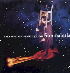 Swamps of Simulation