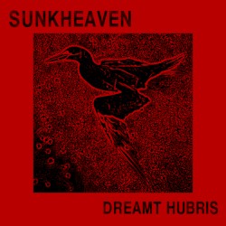 Dreamt Hubris