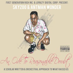 An Ode to Reasonable Doubt