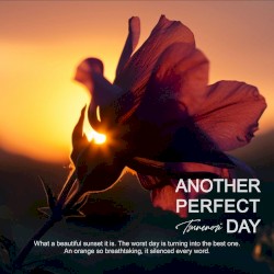 Another Perfect Day (2025 Ver.)