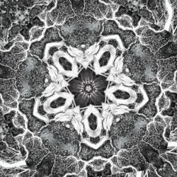 Reborn in death as the cherry blossoms fall.