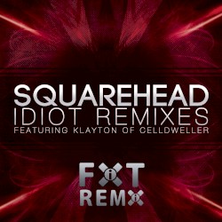 Idiot Remixes