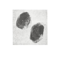 Causeway Series - III (Tepid)