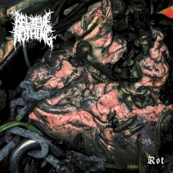 Rot