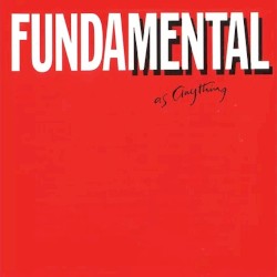 Fundamental as Anything