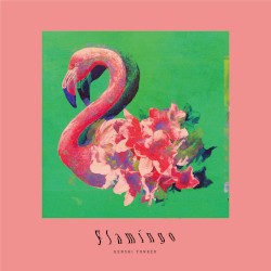 Flamingo / TEENAGE RIOT