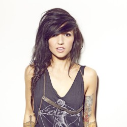 Where the Fence Is Low