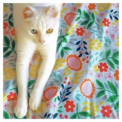 El disco de la primavera