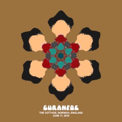 2016-06-17 The Cottage, Norwich, England