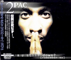 R U Still Down? [Remember Me]