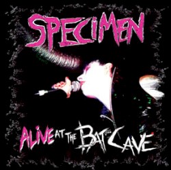 Alive at the Batcave