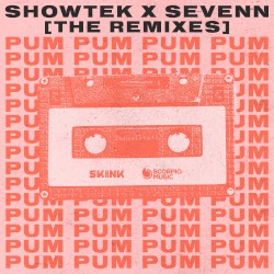 Pum Pum (The Remixes)