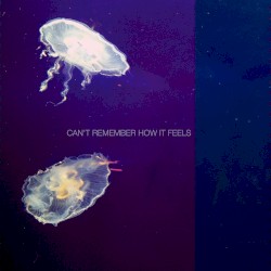 Can’t Remember How It Feels