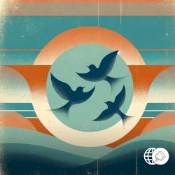 I Can See Three Birds