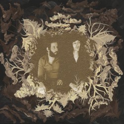 There Are Witches in the Woods