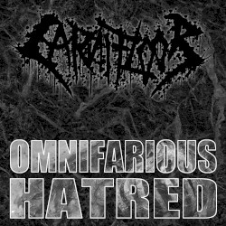 Omnifarious Hatred