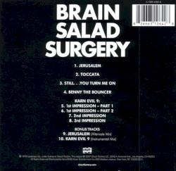 Brain Salad Surgery