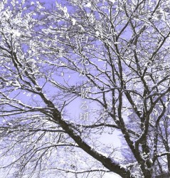 白い花が、散る頃に。