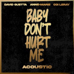 Baby Don’t Hurt Me (acoustic)