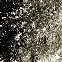 Imagined Textures of the Mud