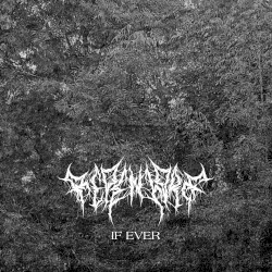 If Ever
